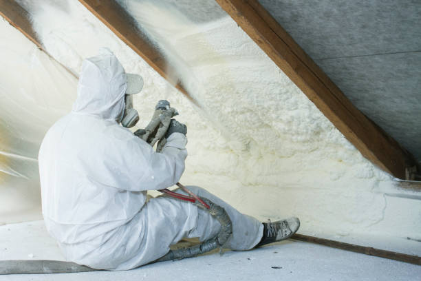 Best Insulation Replacement  in USA